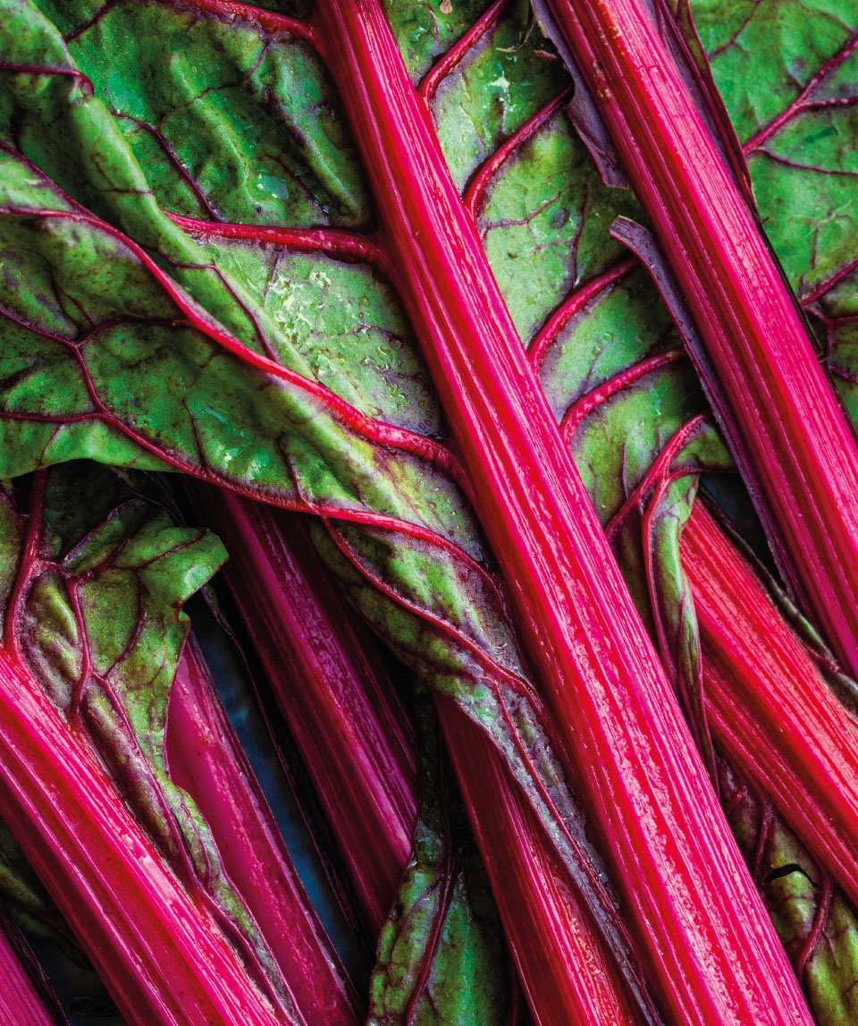Vibrant coloured chard representing nutrient-rich foods used in personalised nutritional therapy for whole-body balance.